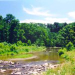 Conservation Groups Seek Contractor for Stream Restoration in Hunting Valley